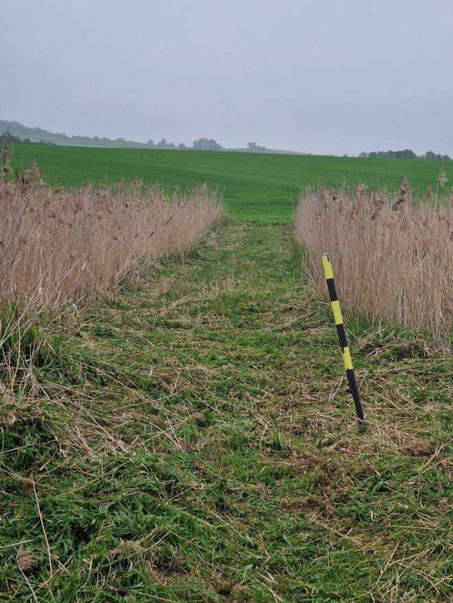 vysekání trasy plynového potrubí Heřmánky